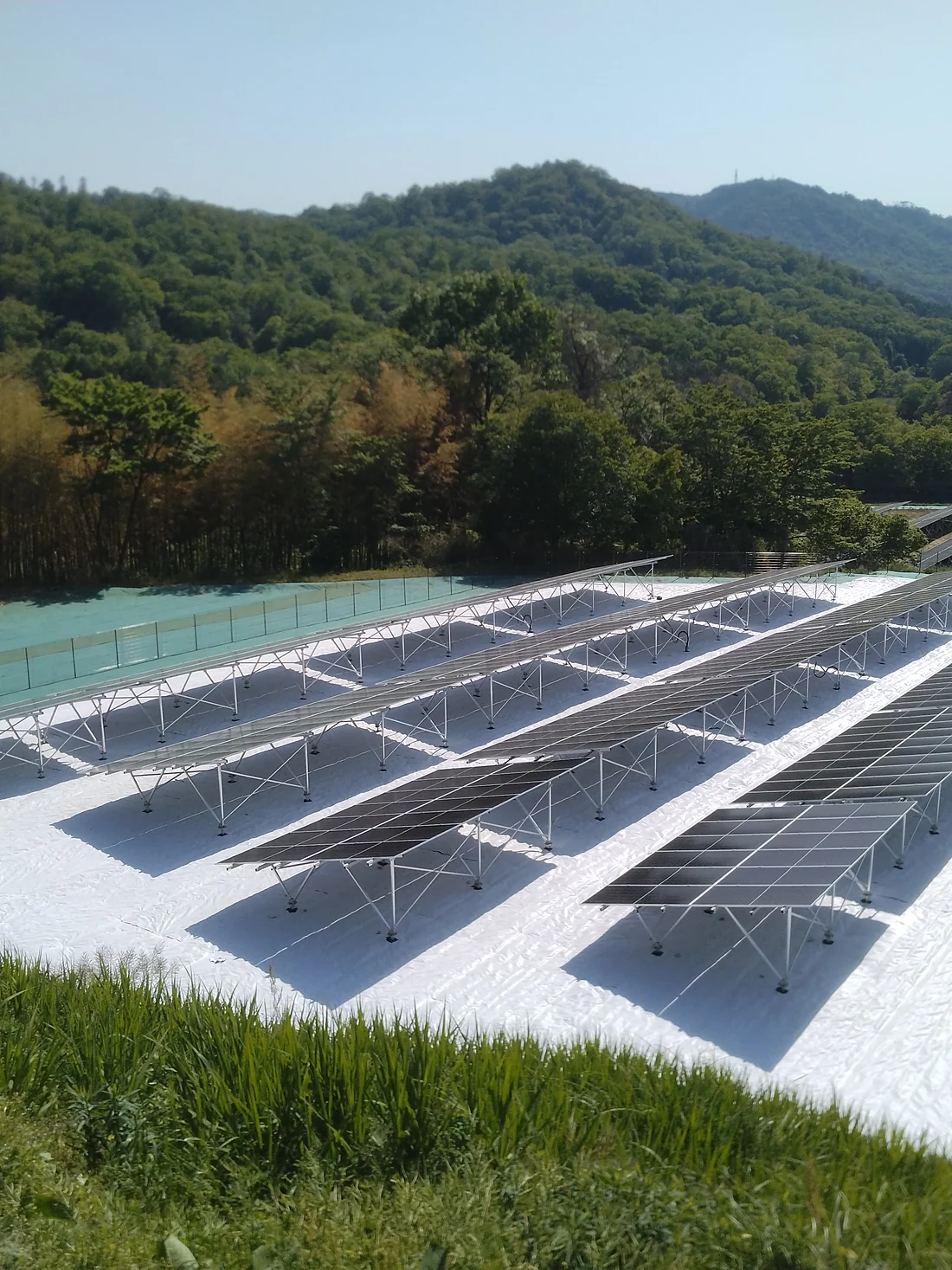 草を刈り、防草シートを敷いた太陽光発電所。パネルが並ぶ