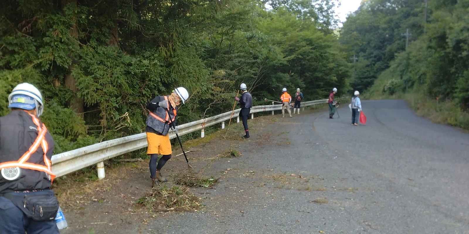 道路沿いで複数の作業者が並んで草を刈る様子