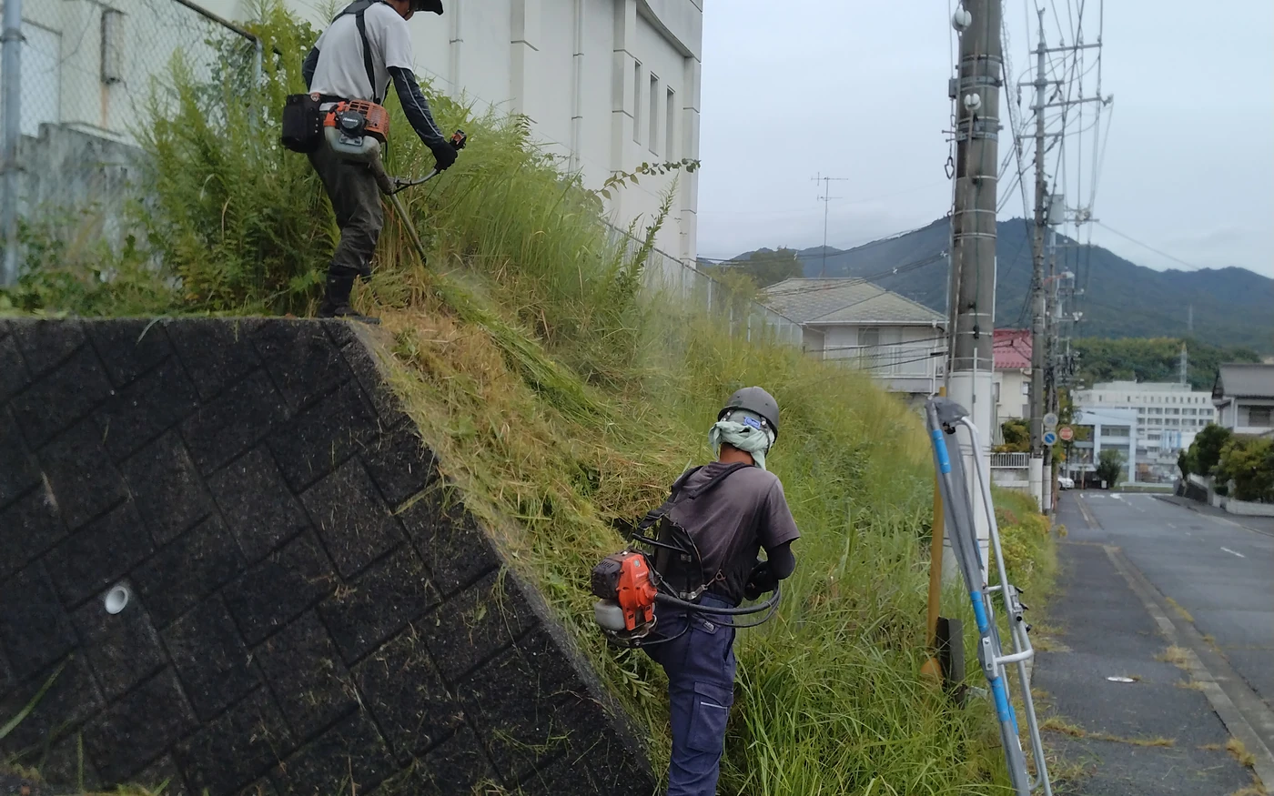 建物脇の法面で、伸びた草を刈払機で刈る作業者