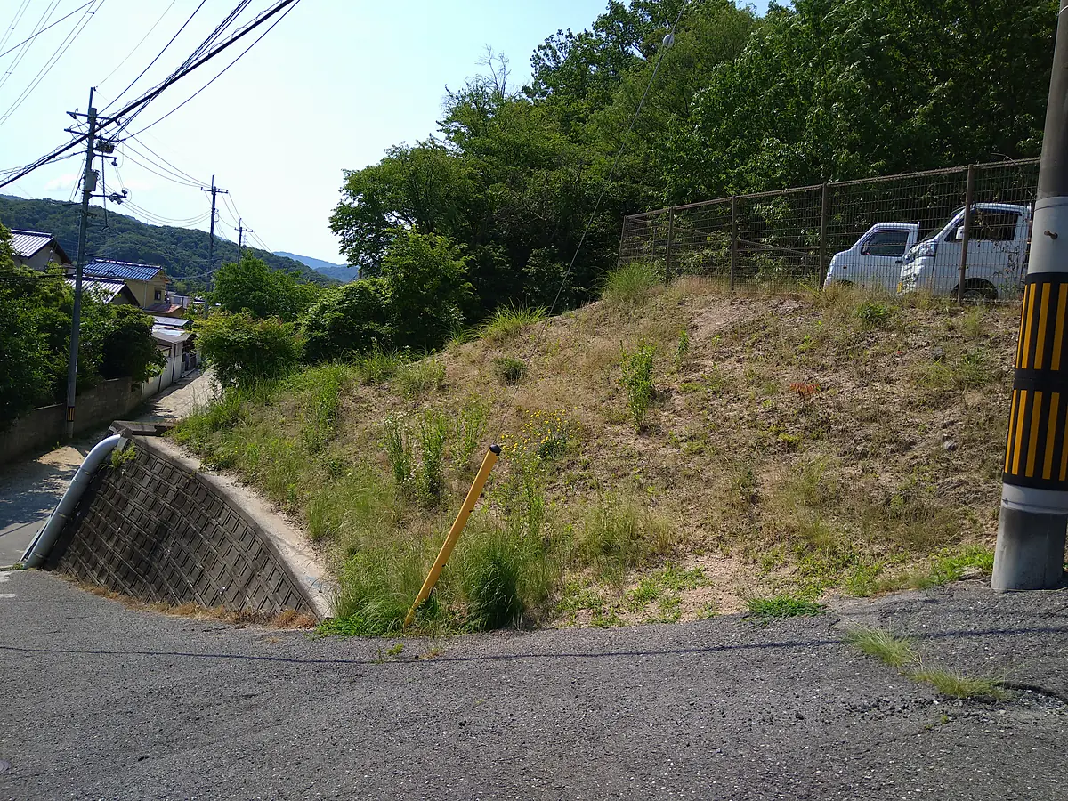 施工前：道路脇の法面。一面に草が茂っている