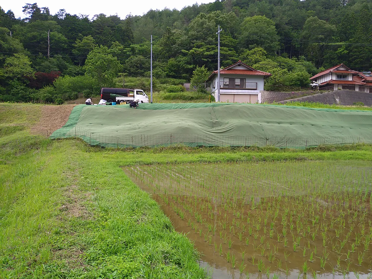 施工後：同じ斜面に防草シートを張り終えた状態