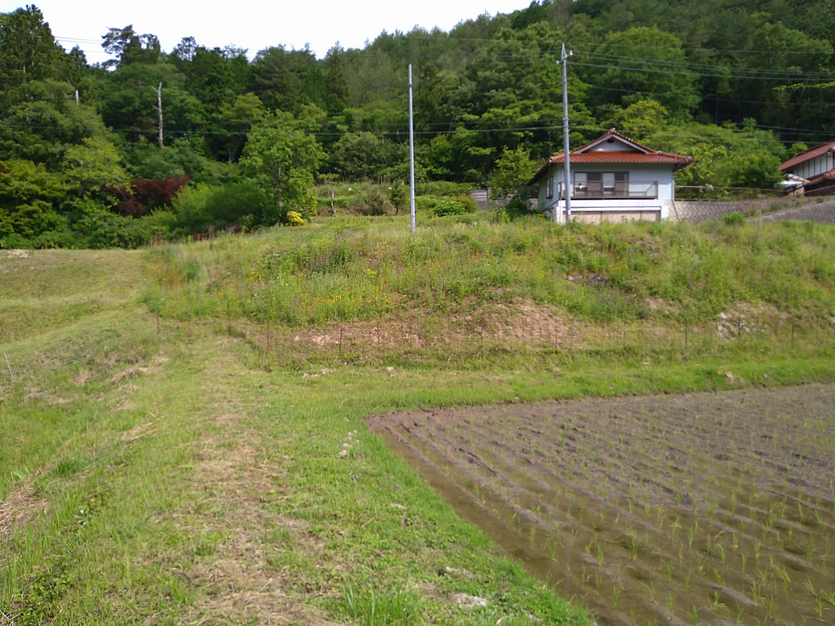 施工前：田んぼの上の斜面。草が伸びて田に迫っている